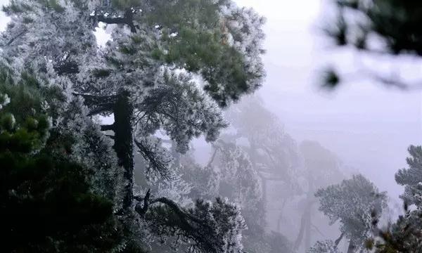 嘉日单词